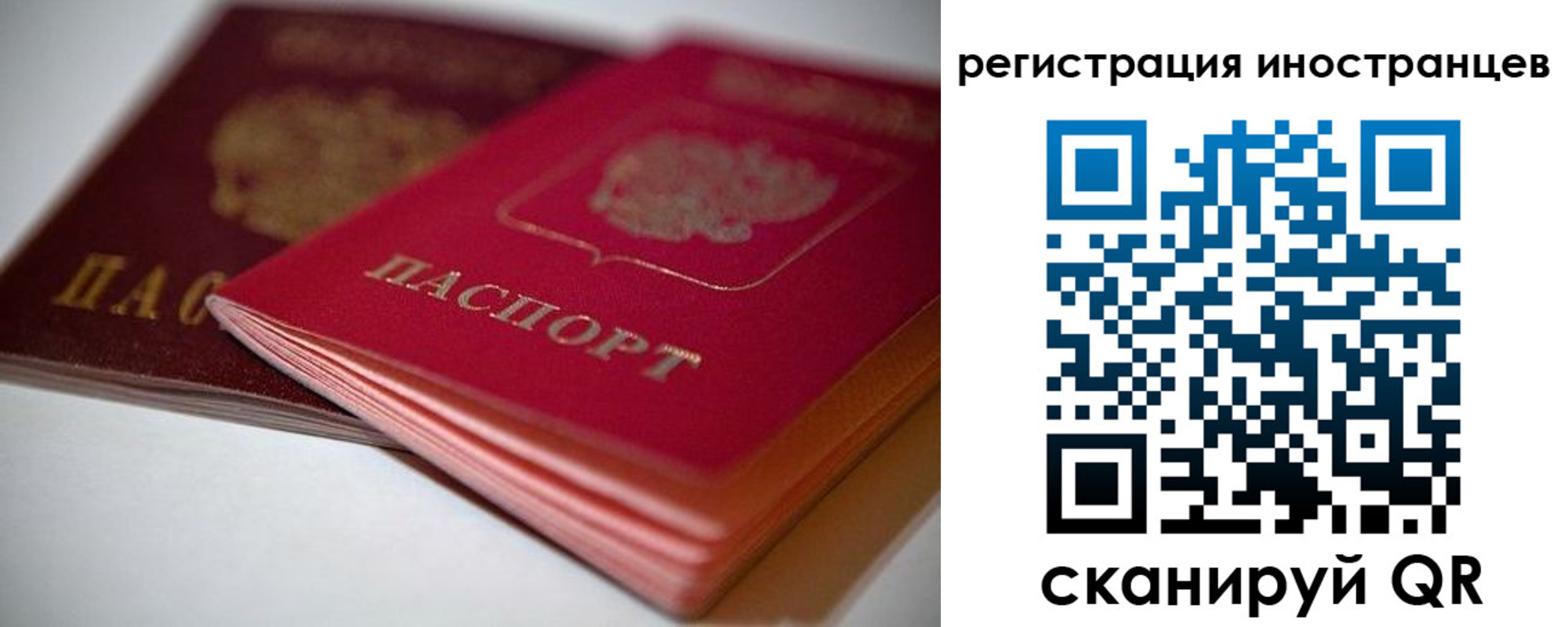 прописка штамп в Королёве